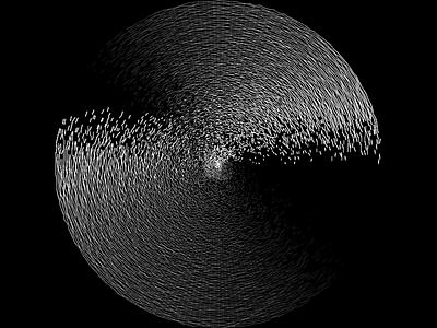 Echo black and white generative processing