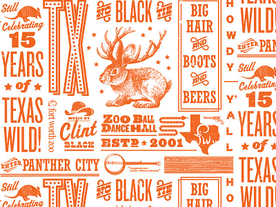 Zoo Ball Pattern brand pattern slab texas typography zoo