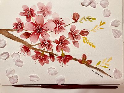 Cherry Blossom watercolor