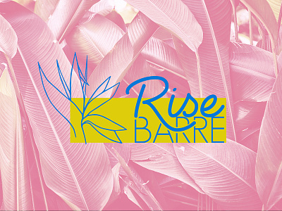 RiseBARRE bird of paradise fitness branding logo tropical