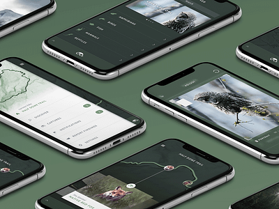 Fauna · Concept iOS App