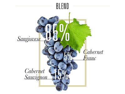 Wine infographic blend grape infographic wine