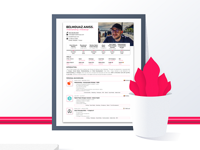 First shot with my new Resume ! ✌🏽 a4 cv cv design cv resume design flat flatdesign illustration print resume resume design