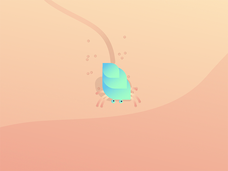 Hermit Crab adobe after effect animation character character animation geometric minimal motiongraphics