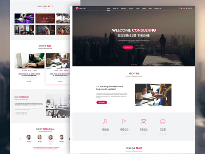 Consulting Psd Template