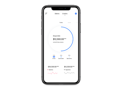Concepto "Overview" app design fintech ios iphone x ui visual