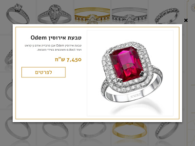 Product View diamond modal product modal quick view