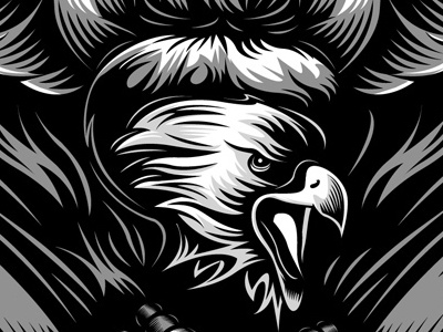 Eagle Illustration for Harley Davidson davidson harley motorcycle vector