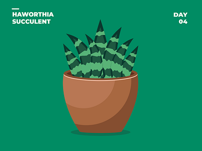 Day 04. HAWORTHIA SUCCULENT PLANT. 100dayschallenge 100daysofillustration design flat illustration illustrator plant plant illustration plants simple simpleillustration tableplant vector