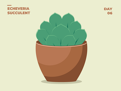 Echeveria Succulent 100dayschallenge 100daysofillustration design flat illustration illustrator plant illustration plants simple simpleillustration vector