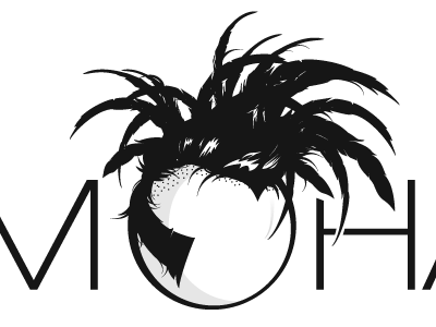 Fat Mohawk - logo 02 identity logo