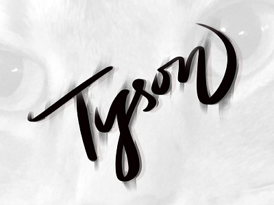 Tyson handlettering logotype procreate scratch script typography