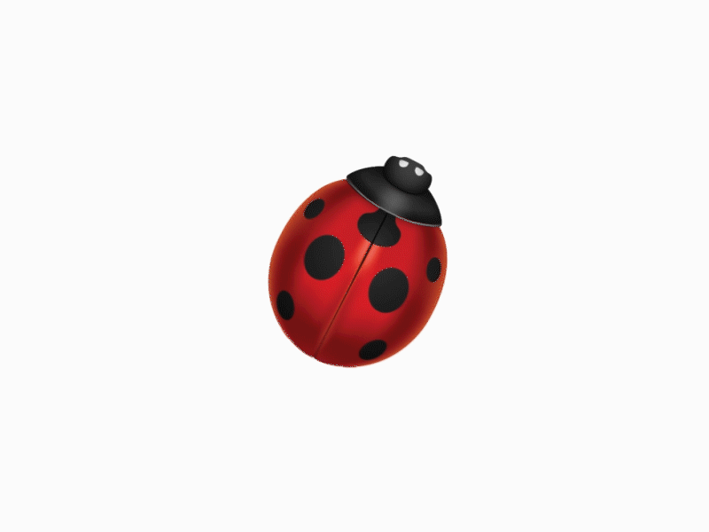 Lady bird beetle clapping :D