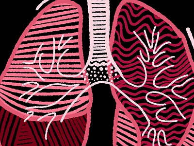 LUNGS 2d flat lungs organs