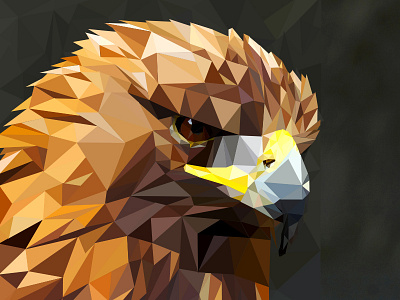 Eye of the Eagle detailing illustration low poly nature polygonal triangles vector