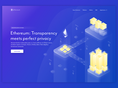 Ethereum Perfect Privecy Platform