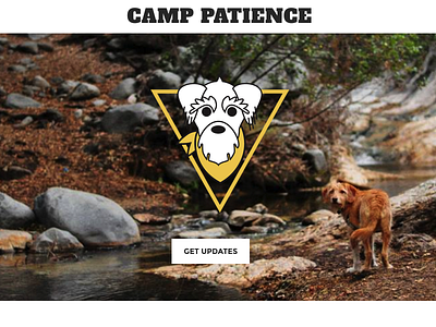 Camp Patience Home Page design logo