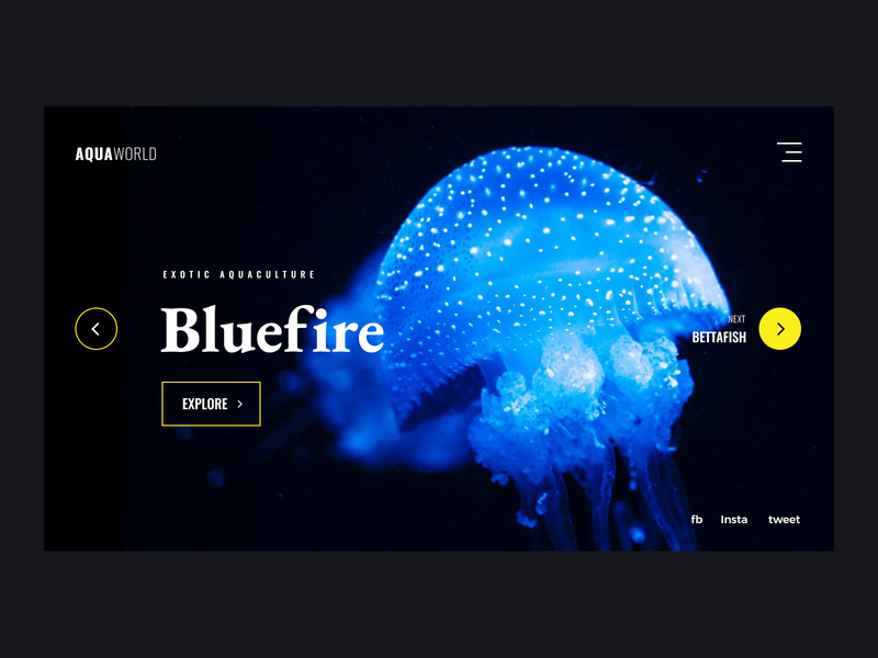 AQUA WORLD | Web Design Concept design concept ui design minimal website design website design web design minimal clean design