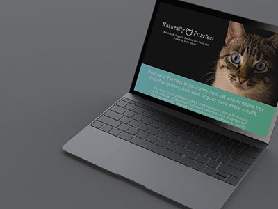 Naturally Purrfect branding uiux web design