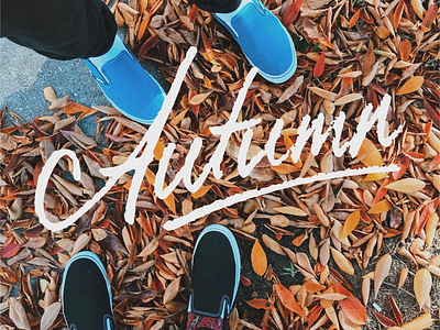 Autumn is finally settling in! autumn design fall hand lettering lettering type