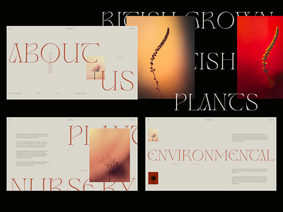 Concept / Botanica / About us about about us design fonts minimal minimalistic typography ui design visual design website