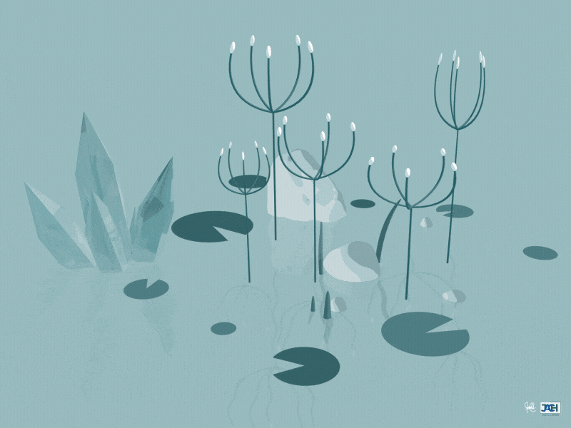 A gem and a lake adobe after effects adobe illustrator animation design flatdesign gem gif lake plant wind