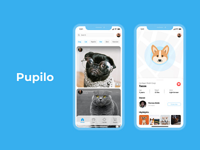 Pupilo | Pet iOS app concept animal app concept instagram ios pet ui ux