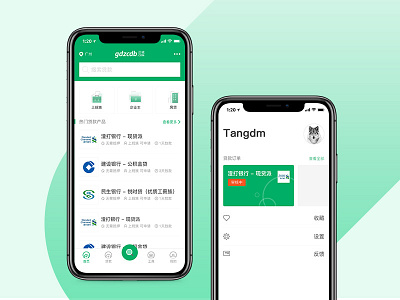 The green version Financial APP