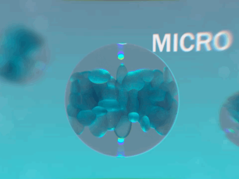 Micro