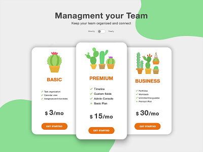 Pricing Page UI