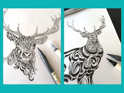 Drawing animal art calligraphic design doodle drawing elements illustration line