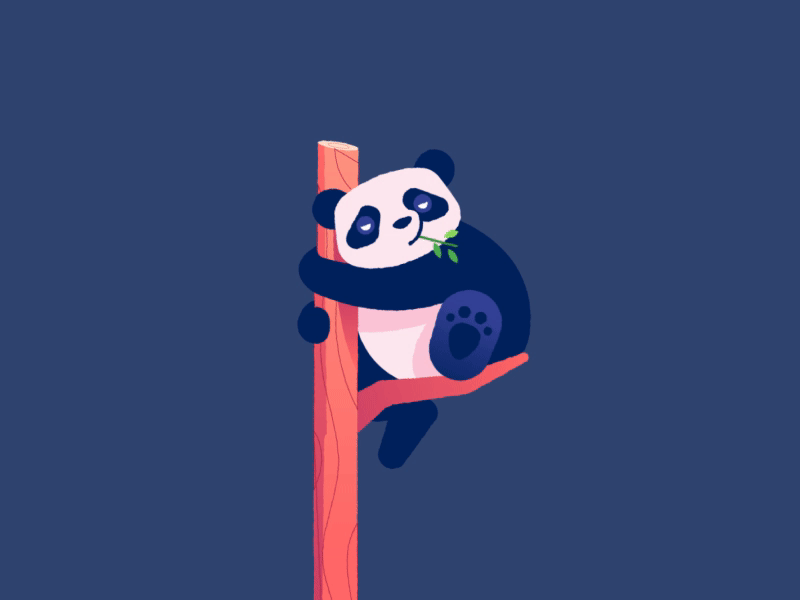 P for Panda 2d 36 days of type aftereffects animation flat illustration motiongraphics panda