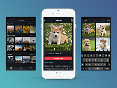 Video Stock app application color ios iphone mobile app puppy stock ui ux video