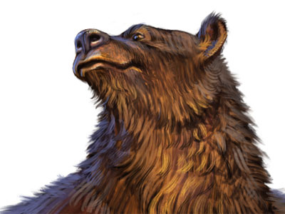 Bear 01 Cut 400x300