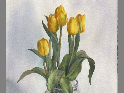 Yellow tulips watercolour