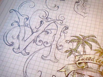Sketch Type Vi pencil sketch type
