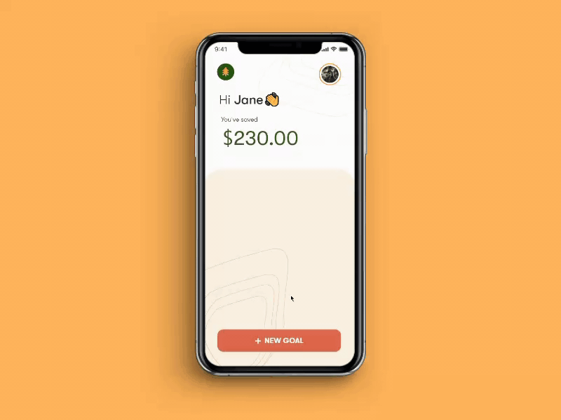A personal finance app!
