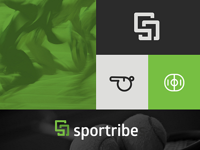 Sportribes Brand guidelines brand branding design guideline identity sport sports tribe vector