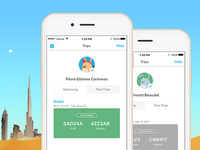 Redesigning the Profile screen airfare animation app flight gif interface ios mobile navigation travel ui ux