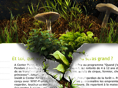 Nature takeover ad detail details grass leaf leaves motion mushroom mushrooms nature photorealism photoshop takeover web