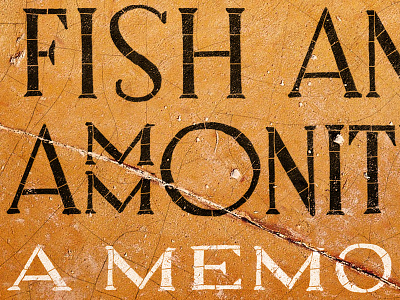 Dancing Fish And Ammonites book cover lettering memoir