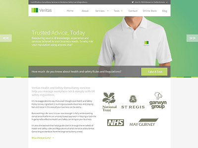 Veritas Consulting - Homepage design green health homepage safety wordpress