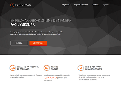 PuntoPagos Website branding landing one page responsive website