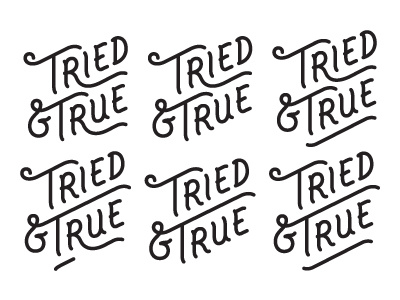 Tried & True Logotype Explorations lettering logo type