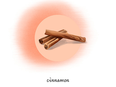 Which Is Your Flavor-Cinnamon