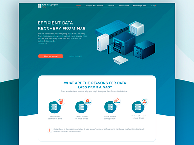 Website for software. NAS Recovery. design illustration typography ui ux website