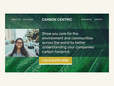 CARBON CENTRIC | Day 11 of the Website Design Challenge branding carbon carbon footprint concept conceptual environment green economy logo ui ux uxui web designer webdesign website website concept website design