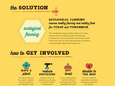 Save the Bees Infographic: The Solution addy baltimore bees farming humanity infographic life local nature save the bees solution survive