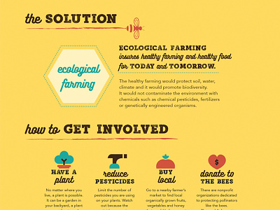 Save the Bees Infographic: The Solution