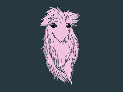 Alpaca